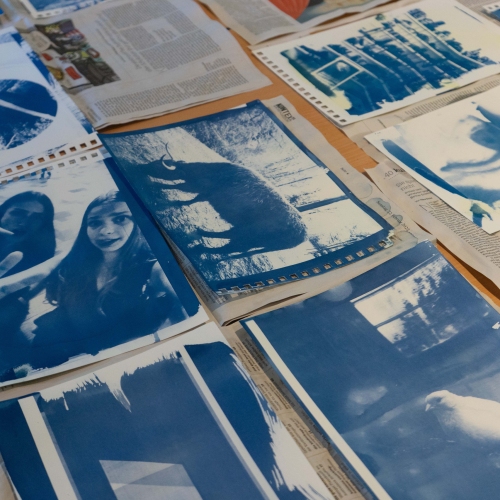 Eine Menge Bilder in Blautönen. Sie wurden mithilfe von Cyanotypie hergestellt.